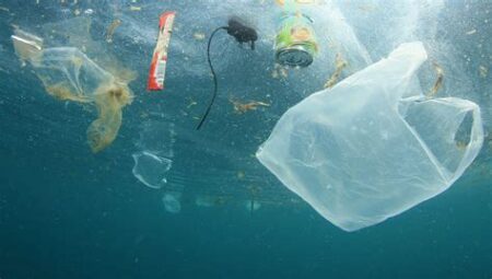 Okyanus Kirliliği ve Deniz Canlıları: Denizlerdeki Plastik Atıkların Ekosistemi Nasıl Etkilediği